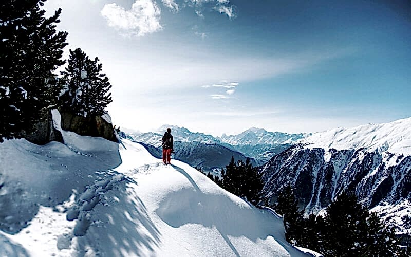 Travel & Hospitality