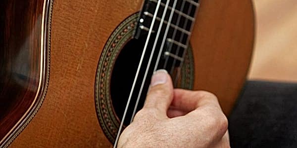 Guitar -IMG_0891_mssf