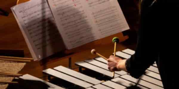 Percussion - DSC00697